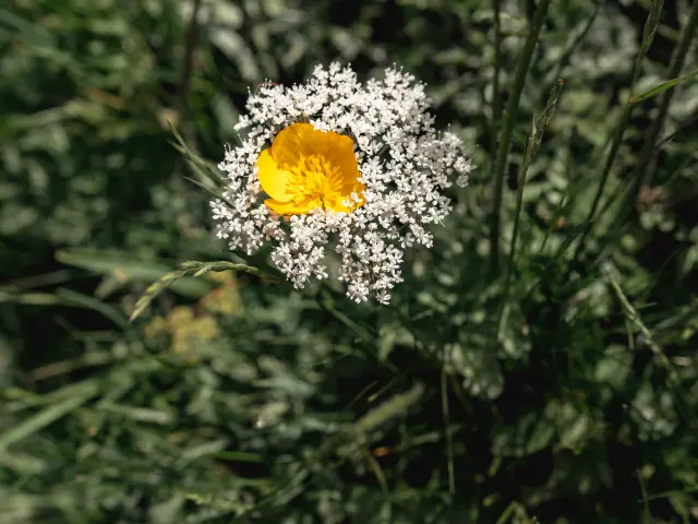 Darbon 140625 Mathilde Duchene Photographe 5