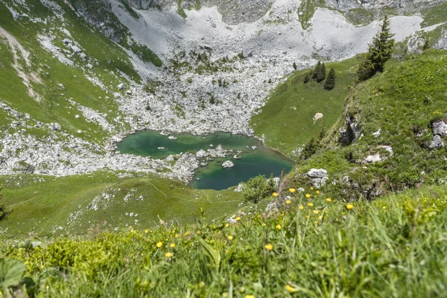 Darbon 140625 Mathilde Duchene 1