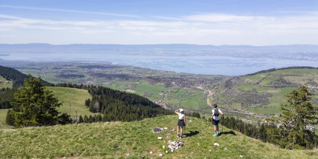 Trail Mont Baron Drone Fl 2
