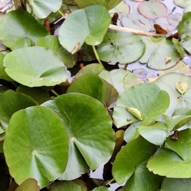 Parc Neuvecelle 062025 Marieneuvecelle 1