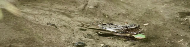 Parc Neuvecelle 062025 Marieneuvecelle 18