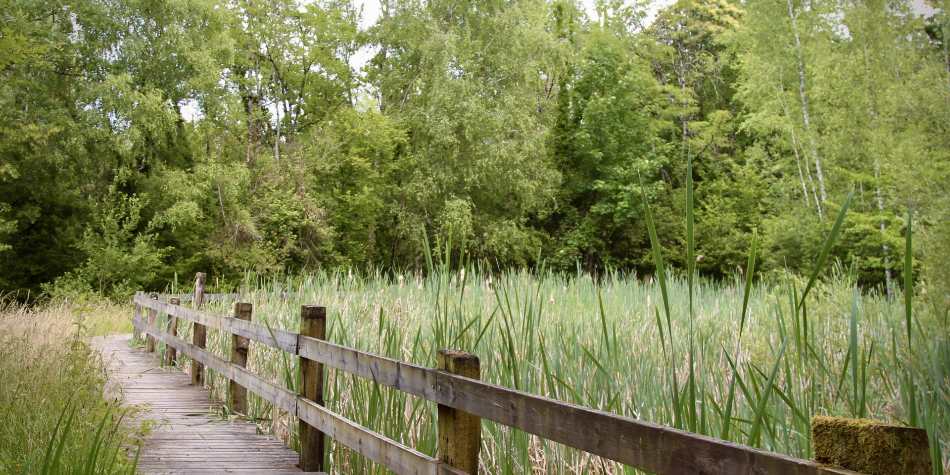 Parc Neuvecelle 062025 Marieneuvecelle 2