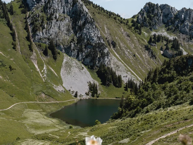 Arvouin 0624 Mathilde Duchene Photographe 2