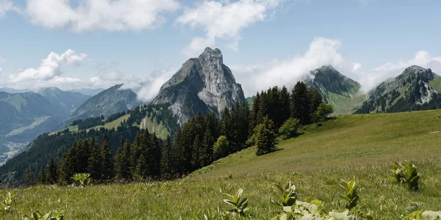 Arvouin 0624 Mathilde Duchene Photographe 11