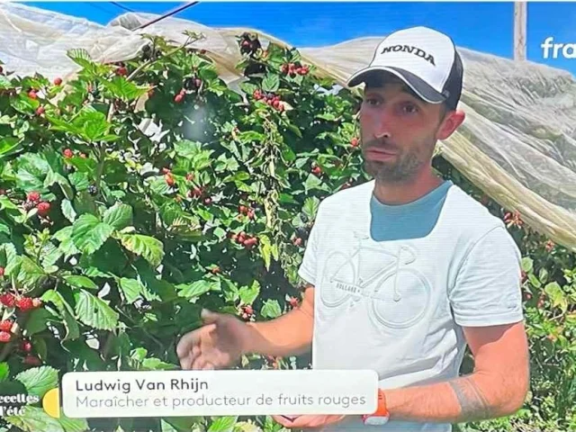 Ludwig