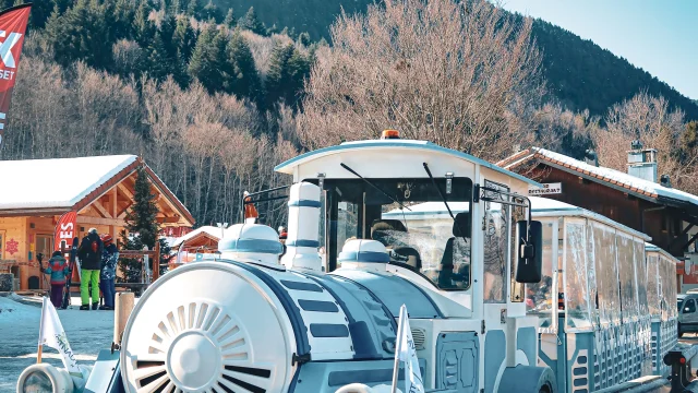 Petittrain Bernex 10 Fevrier 2023 Hiver Mathildepruvot 3 1