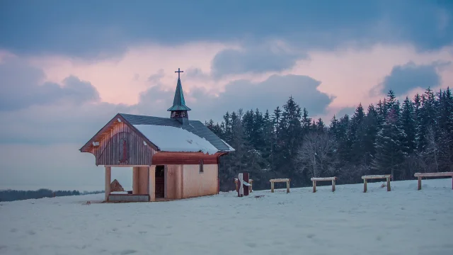 10012021 0558 Sylvain Cochard Vinzier Champeillant