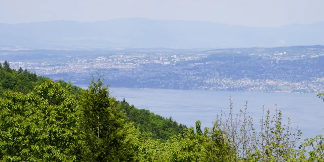 Balade Eline Printemps 2025 Cindy Parisse 11