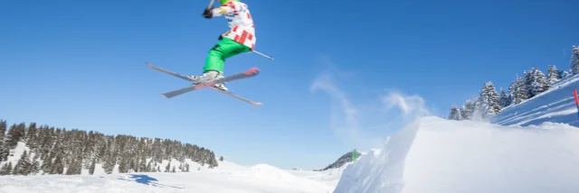 Photographe - ingénieur agronom