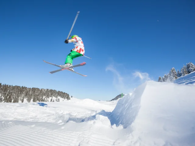 Photographe - ingénieur agronom