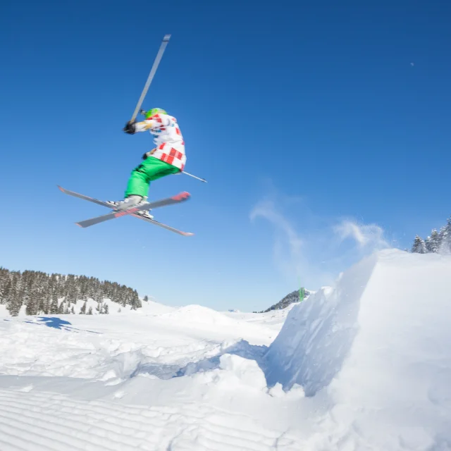 Photographe - ingénieur agronom