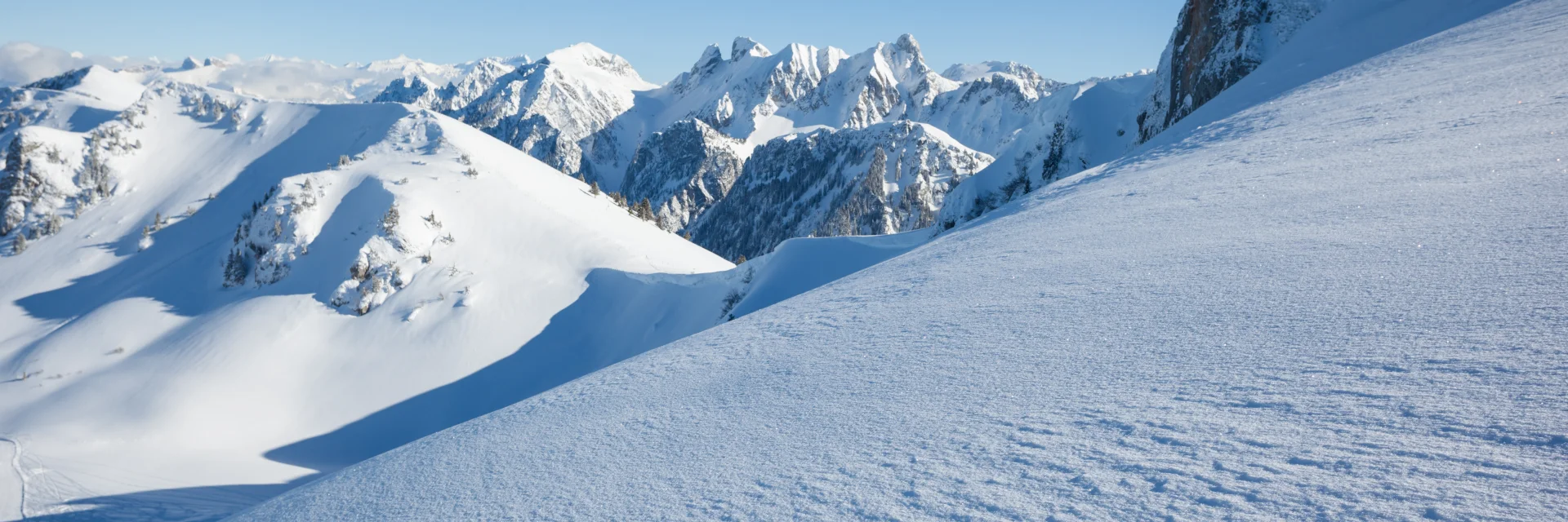 Photographe - ingénieur agronom