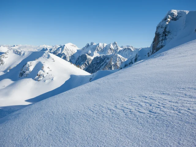 Photographe - ingénieur agronom
