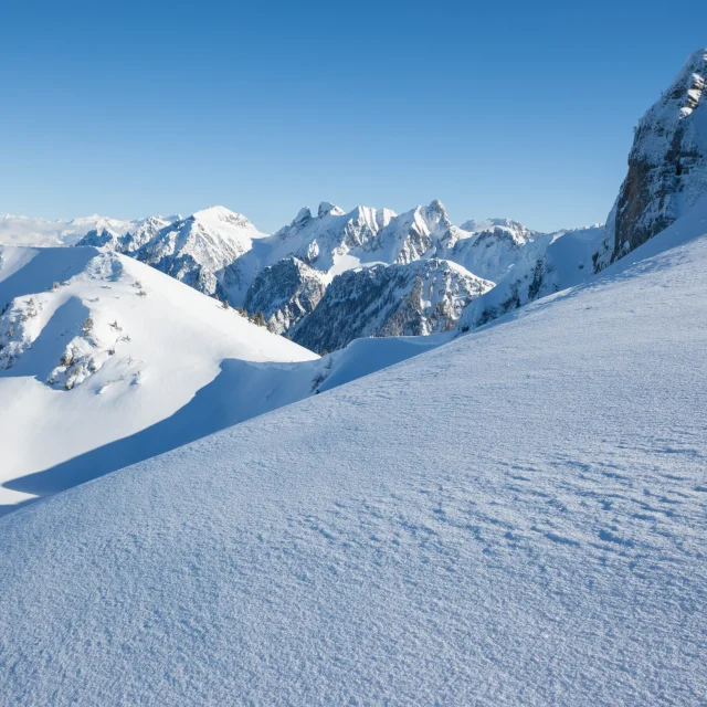 Photographe - ingénieur agronom