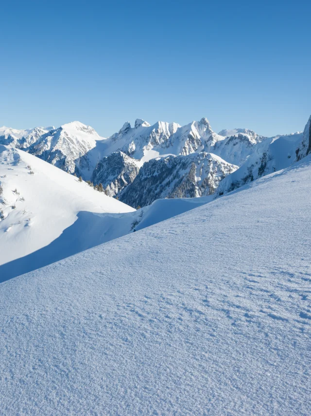 Photographe - ingénieur agronom