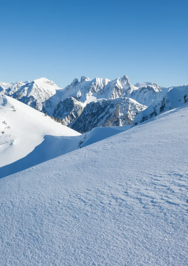 Photographe - ingénieur agronom