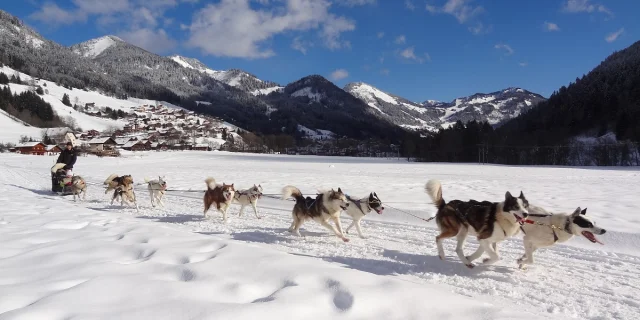 Sled Dogs Lachapelle Winter 21 01 2020otpeva 14