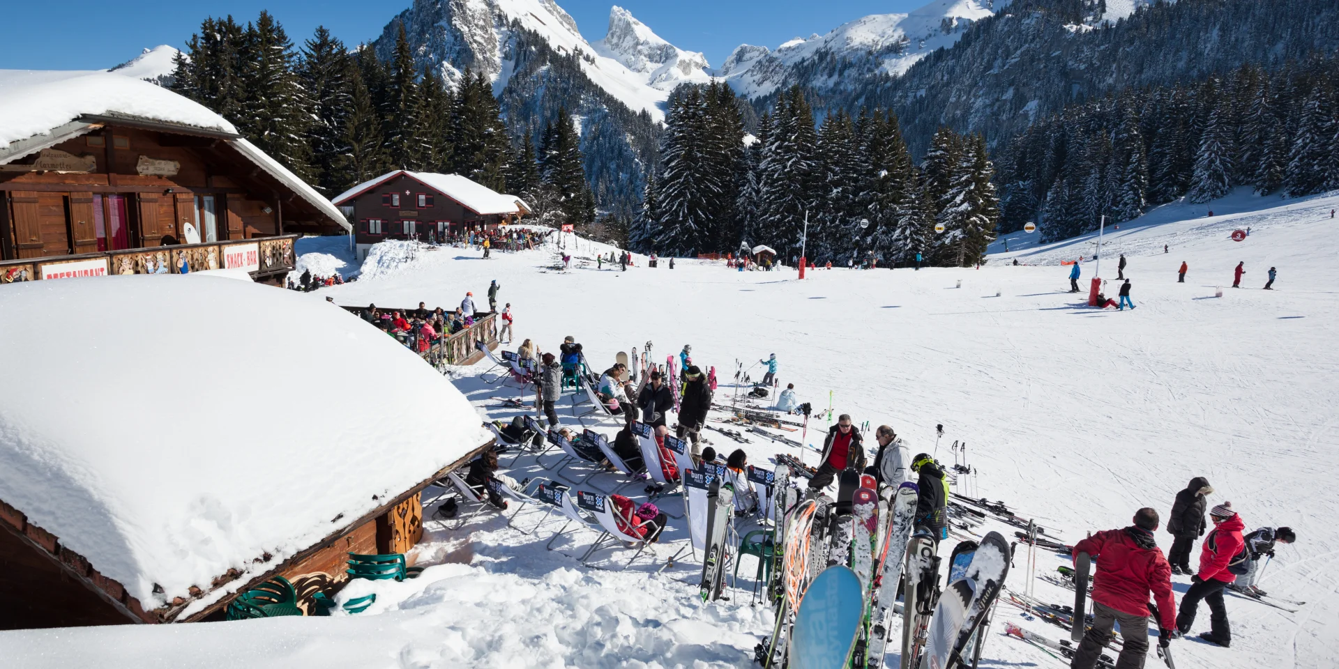 Photographe - ingénieur agronom