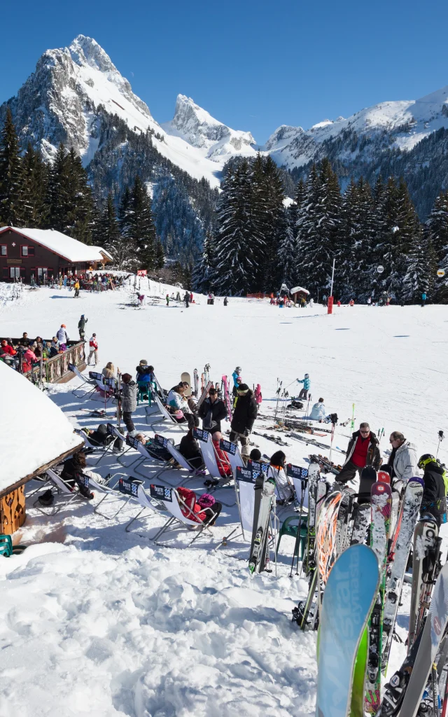 Photographe - ingénieur agronom