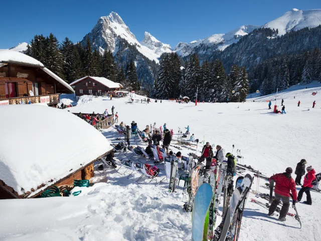Photographe - ingénieur agronom