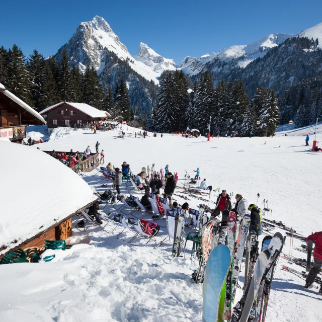 Photographe - ingénieur agronom