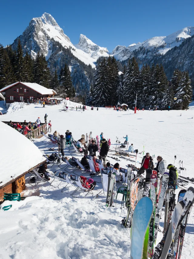 Photographe - ingénieur agronom