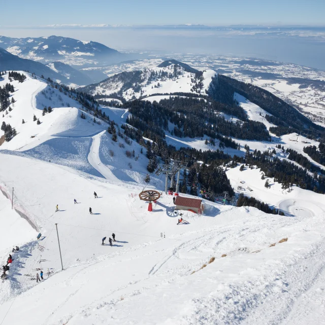 Photographe - ingénieur agronom