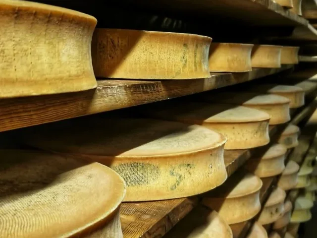 Img20251008103028 1.jpg