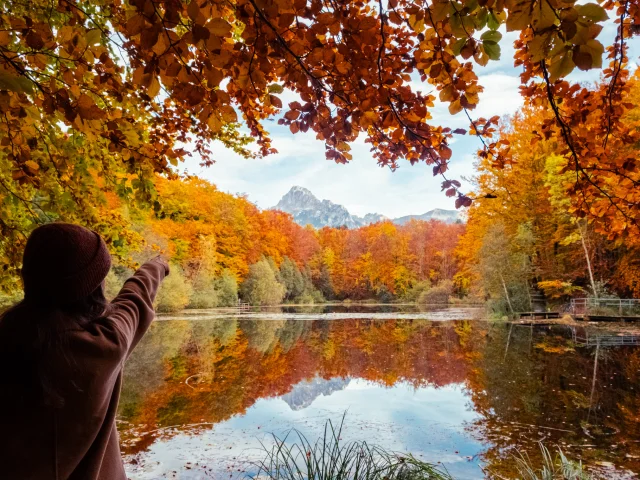 Lac Noir St Paul Automne 161024 Marie El Hajal 47 27 1