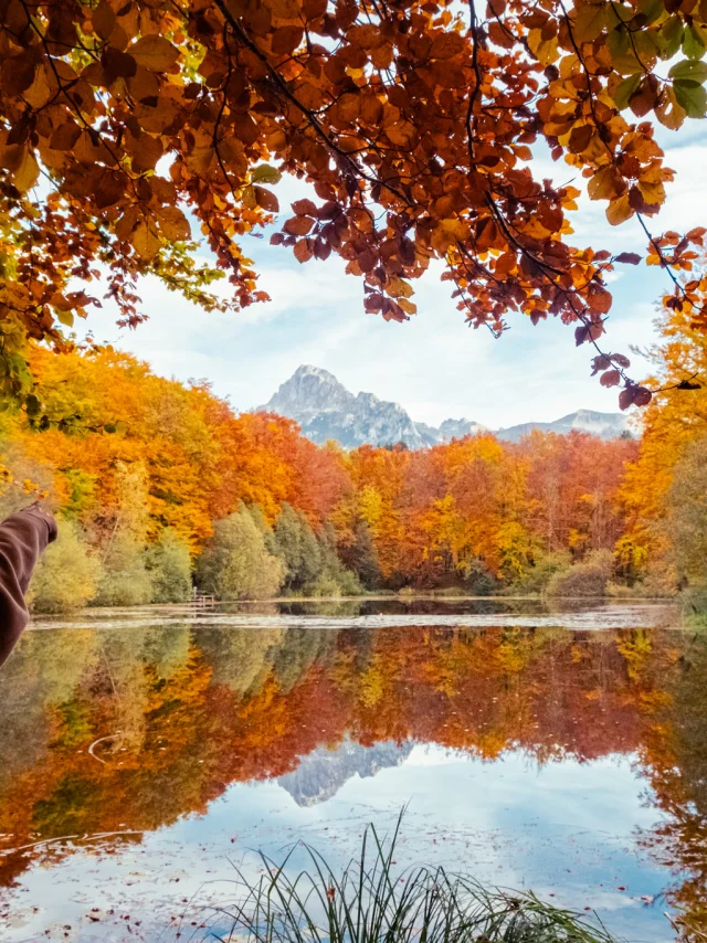 Lac Noir St Paul Automne 161024 Marie El Hajal 47 27 1