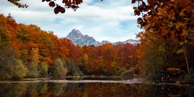 Lac Noir St Paul Automne 161024 Marie El Hajal 47 30