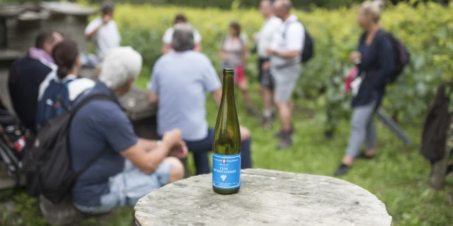 Pays D Art Et D Histoir Vignes De Feternesy. Tisseire