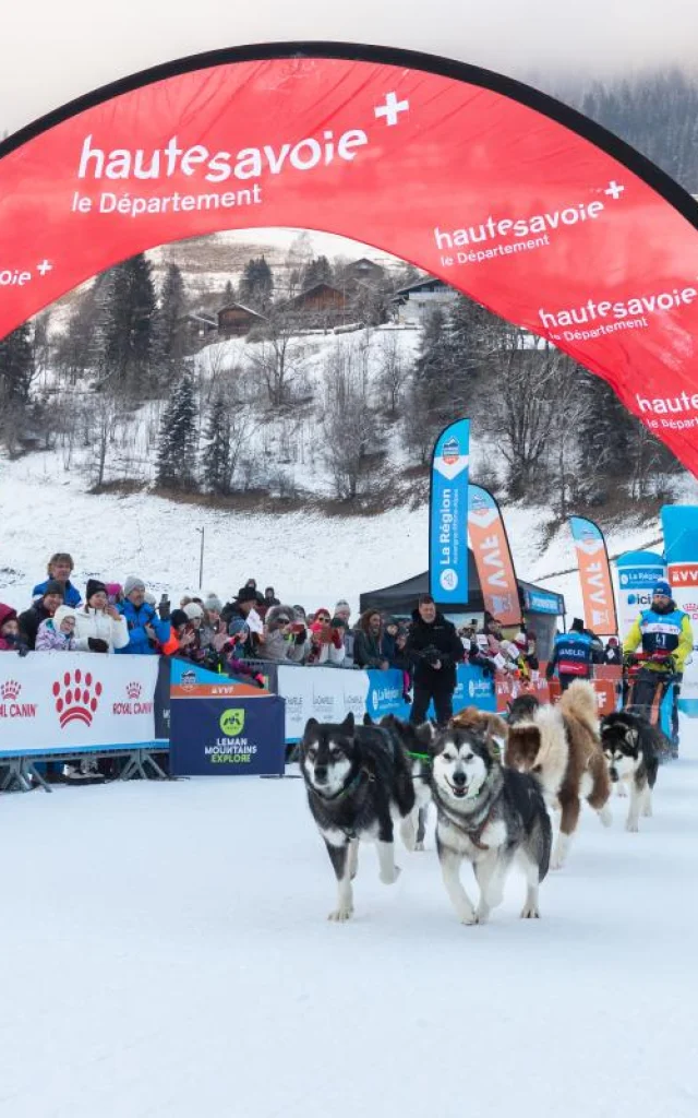 Pers Lgo25 11012025 Maelys Pommier 11 Sur 25 1