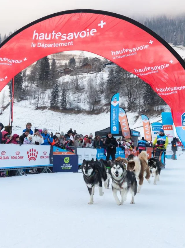 Press Lgo25 11012025 Maelys Pommier 11 Sur 25 1