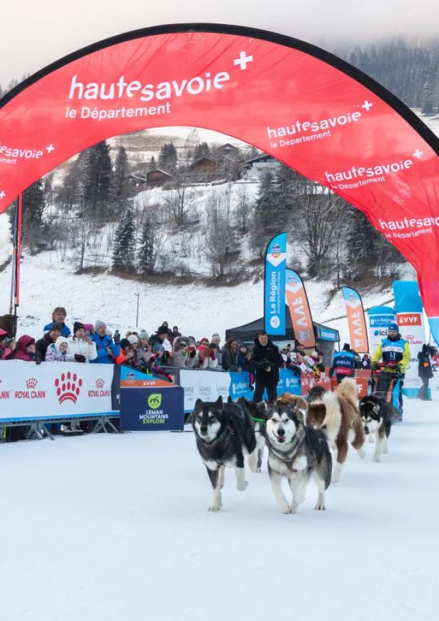 Press Lgo25 11012025 Maelys Pommier 11 Sur 25 1