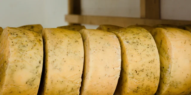 Vue De Face Type De Rouleaux De Fromage A L Interieur