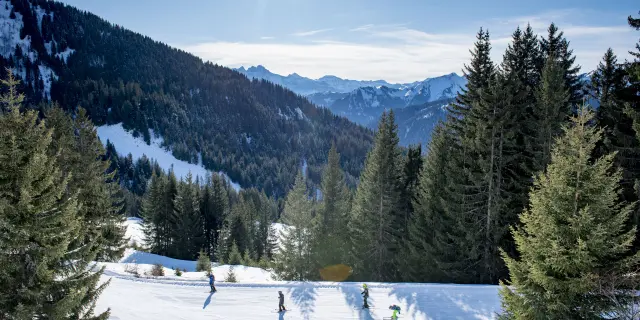 Chapelle d'Abondance: skigebied La Braitaz. Haute-Savoie, 21 januari 2020.