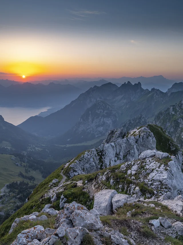 Dentdoche Ete Gilles Lansard 2