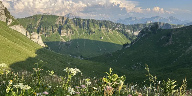 Pelluaz Coucher De Soleil Cindy Parisse 11 1