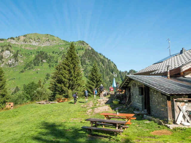 Refuge Des Tinderets Abondance June 2023 Yvan Tisseyre 12
