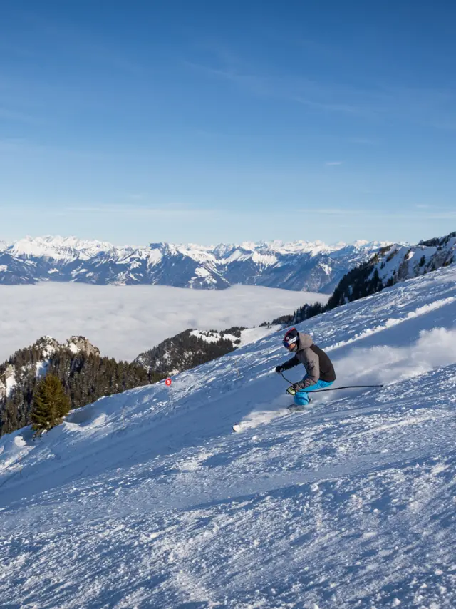 Thollon Les Memises Fevrier2019 Vanessa Andrieux 3221