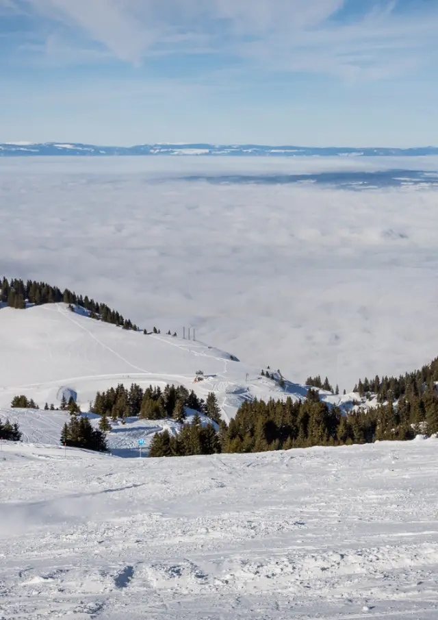 Thollon Les Memises Fevrier2019 Vanessa Andrieux 3274