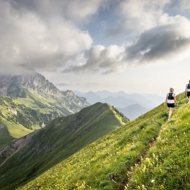 Trail Thollon Les Memises Pic De Boree Florian Legrand 2024 21 1