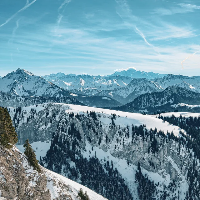 Landscape Bernex 31 January 2023 Winter Mathildepruvot 5 1