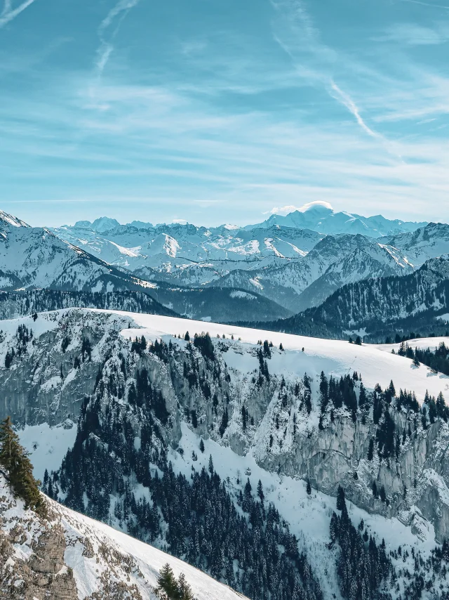 Landschap Bernex 31 januari 2023 Winter Mathildepruvot 5 1