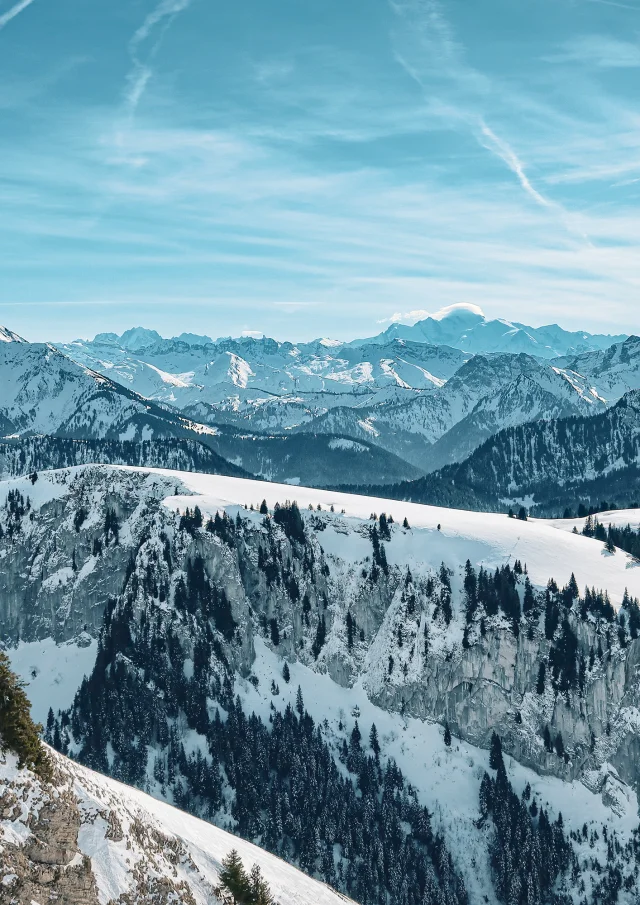 Landschap Bernex 31 januari 2023 Winter Mathildepruvot 5 1