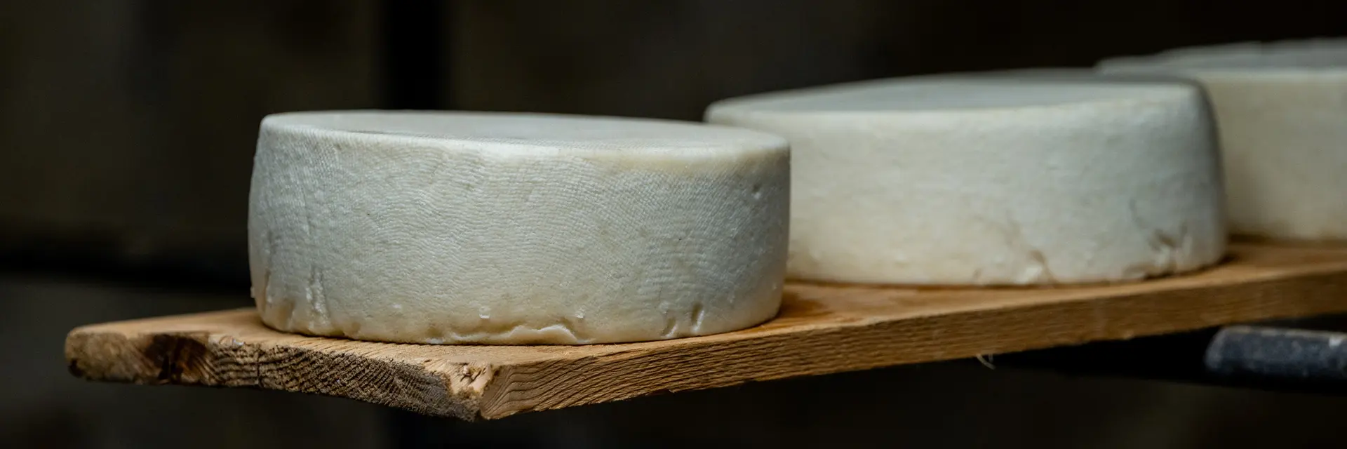 Bits 2025 Mathilde Duchene 841