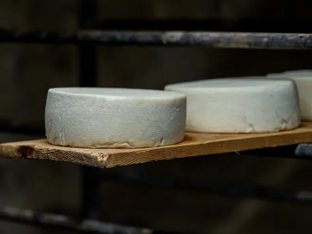 Bits 2025 Mathilde Duchene 841