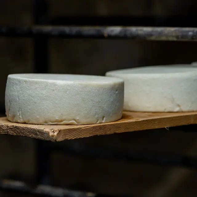 Bits 2025 Mathilde Duchene 841