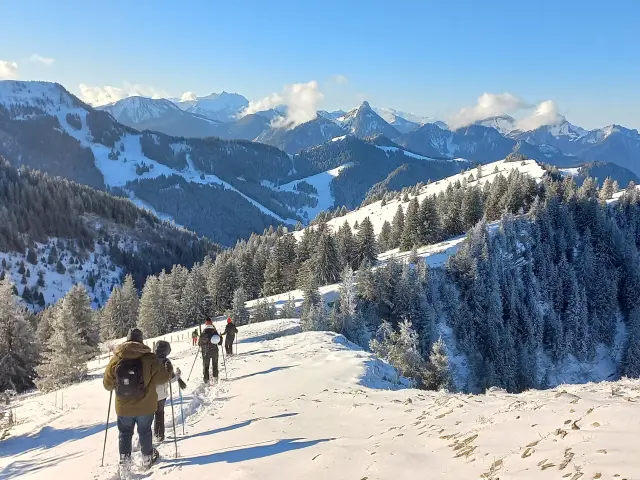 Un groupe de personnes qui randonnent en hiver sous un beau soleil éclatant, sur la neige et en pleine montagne, accompagnés d'un guide d'Alp'Evianature.